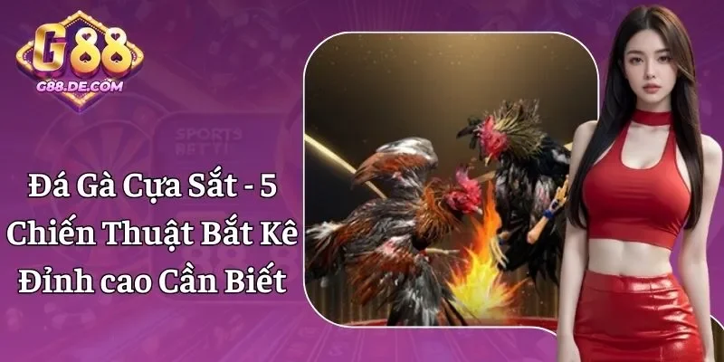 Đá Gà Cựa Sắt G88 - Chơi Đơn Giản, Chiến Thuật Thắng Lớn